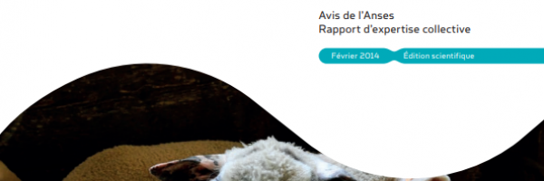 Avis de l'Anses rapport d'expertise collective évaluation de risques liés à la diffusion du virus schmallenberg en france