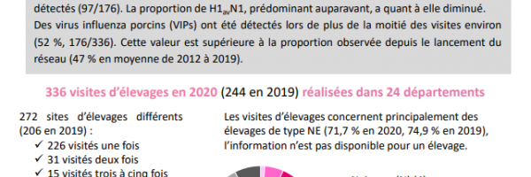 Resavip Bulletin d'information national - Résultats de l'année 2020