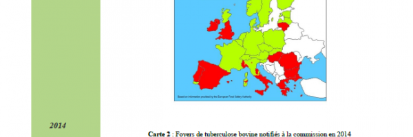 Bulletin de la cellule interrégionale d'épidémiologie vétérinaire du sud-ouest numéro 2015-1