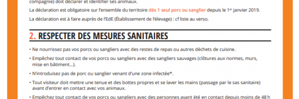 Fiche détenteurs de porcs ou de sangliers - Déclaration obligatoire PPA