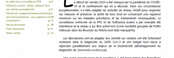 Lettre d'information du réseau SAGIR numéro 188 octobre 2020