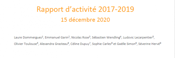 Rapport d'activité 2017 - 2019 RESAVIP