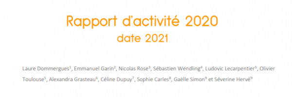 Rapport d'activité 2020 RESAVIP