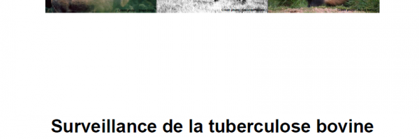 Sylvatub Bilan fonctionnel et sanitaire 2015 - 2016