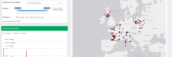 Carte interactive veille sanitaire internationale : tuberculose bovine