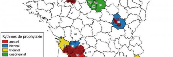 Tuberculose bovine carte des rythmes départementaux et des zones de prophylaxie renforcée