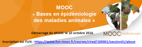 Mooc Base de l'épidémiologie des maladies animales