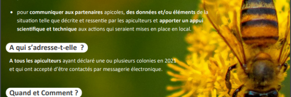 Mortalité des colonies d'abeilles durant l'hiver 2021 - 2022