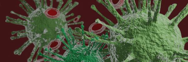 Un nouveau coronavirus humain (NCoV) 