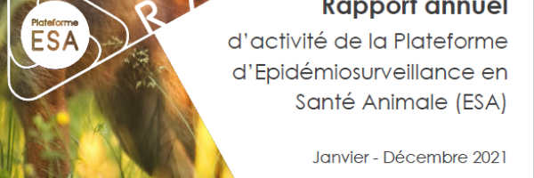 Rapport activité 2021