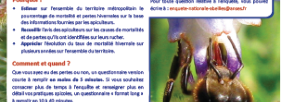 vignette 8ème édition