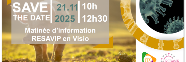 save the date resavip