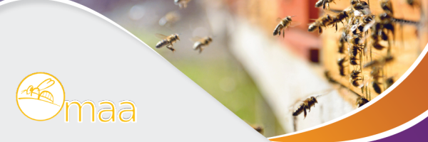 omaa_image_bilan_2024_chapo