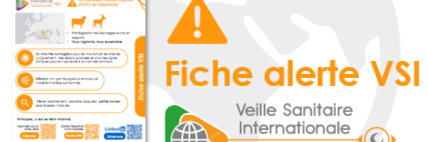  Nom vignette_fiche_alerte_chapo