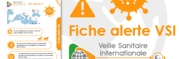 vignette_fiche_alerte_chapo_qui-suis-je
